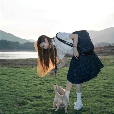 菠萝蜜之谜